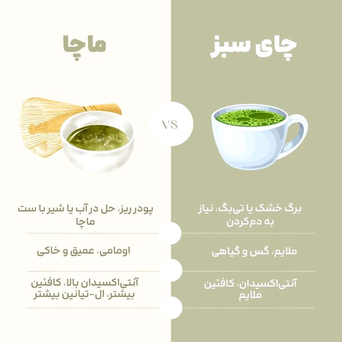 نوشیدنی‌های رژیمی گرم با شیرهای گیاهی