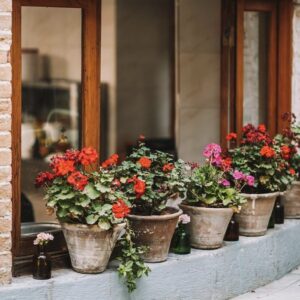 کافه عمارت دل تهران (1)