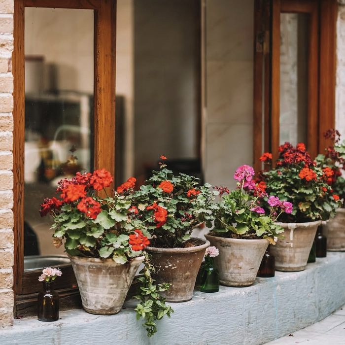 کافه عمارت دل تهران (1)