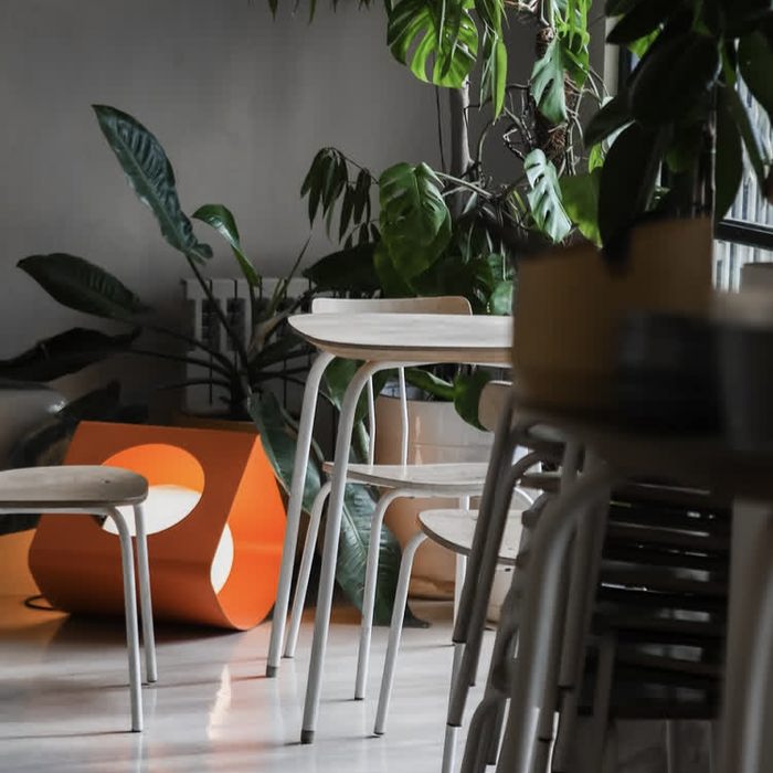 کافه فردوسی (شعبه قصردشت) شیراز (3)