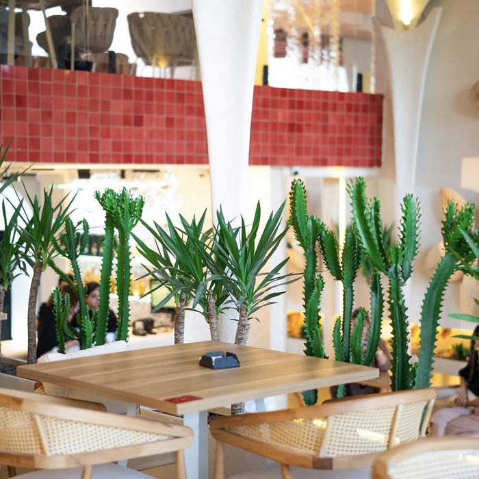 کافه کرک تی 2 شیراز 3