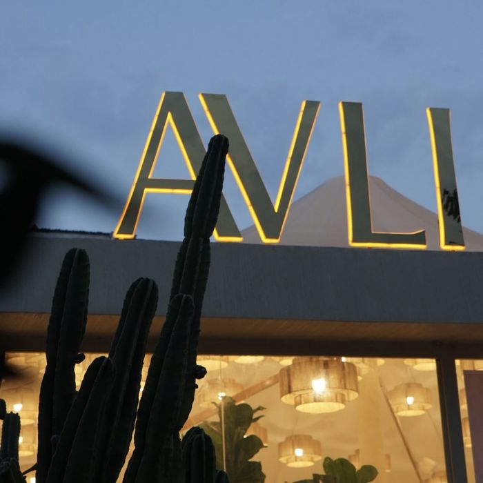 کافه آولی (Avli) ساری (5)