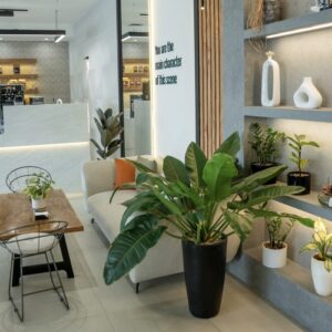 کافه بیکری سن (Scene) مشهد (4)