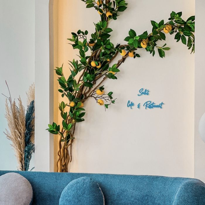 کافه رستوران سالیز (Salis) کرج (4)