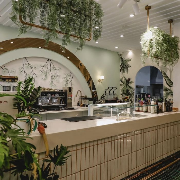 کافه نگارا کرج (1)