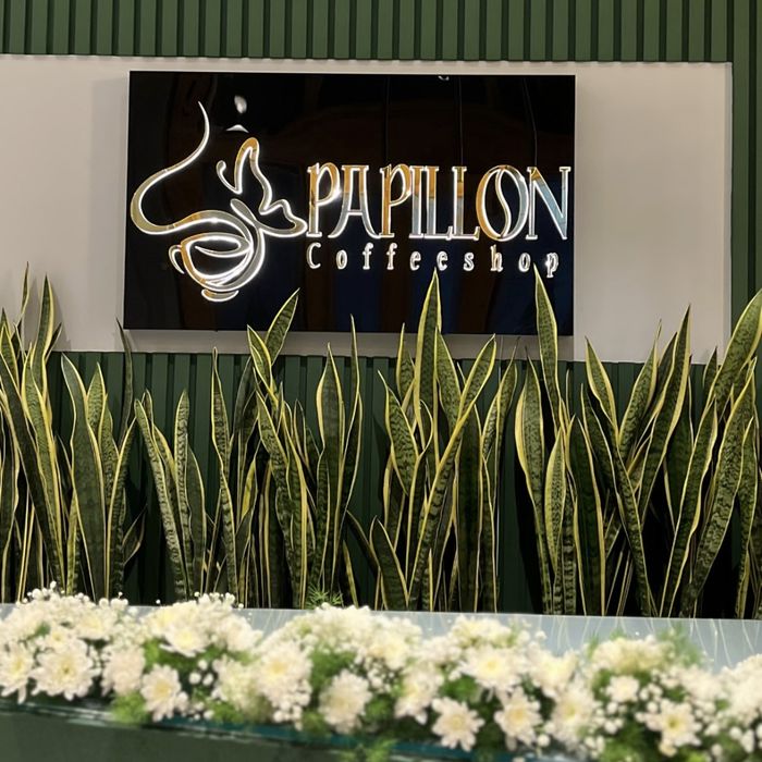 کافه پاپیلون (Papillon) VIP بانوان مشهد (5)