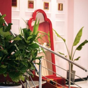 کافه ژو (Jou) کرمانشاه (5)