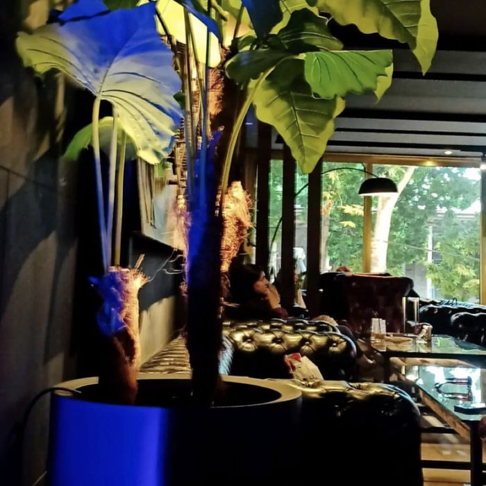 کافه رستوران آیرا (Ayira) سنندج (3)