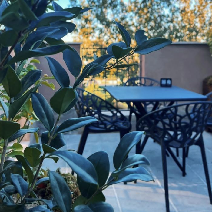 کافه رستوران ایلا (ilaa) قم (2)