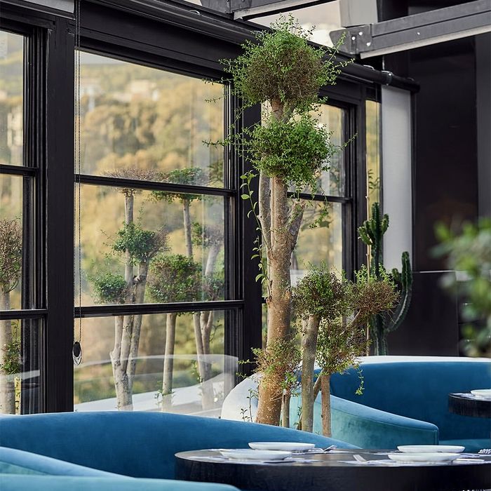 کافه رستوران بولرو (Bollero Garden) تهران (4)