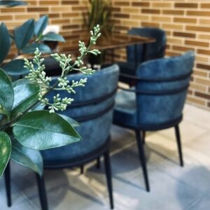 کافه رستوران دلژین (Delzhin) اراک (3)