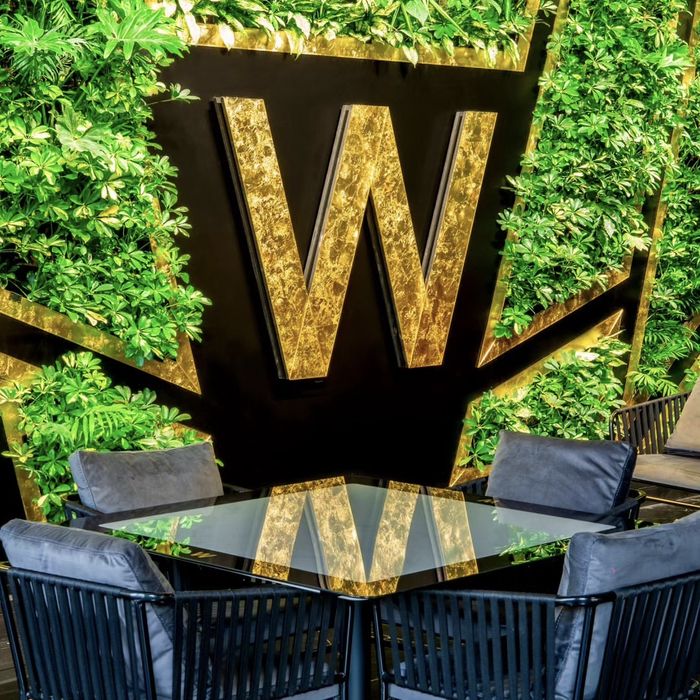 کافه رستوران ویلوکاپ (Welookup) تهران (1)